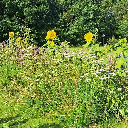 Seaside Cozy Cottage-by Traum Holiday home Tarm