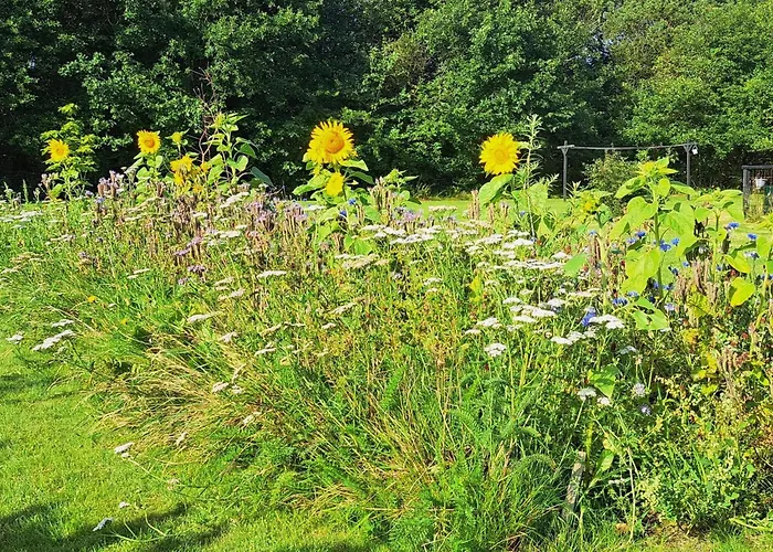 Seaside Cozy Cottage-by Traum Hébergement de vacances Tarm